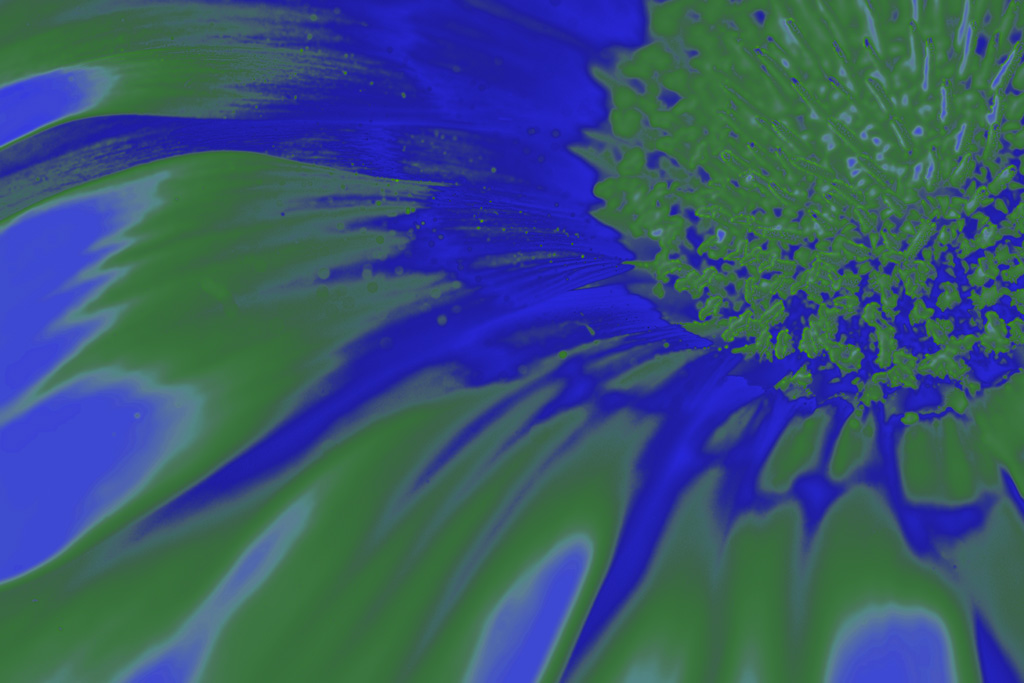 Pintura digital de flores azuis