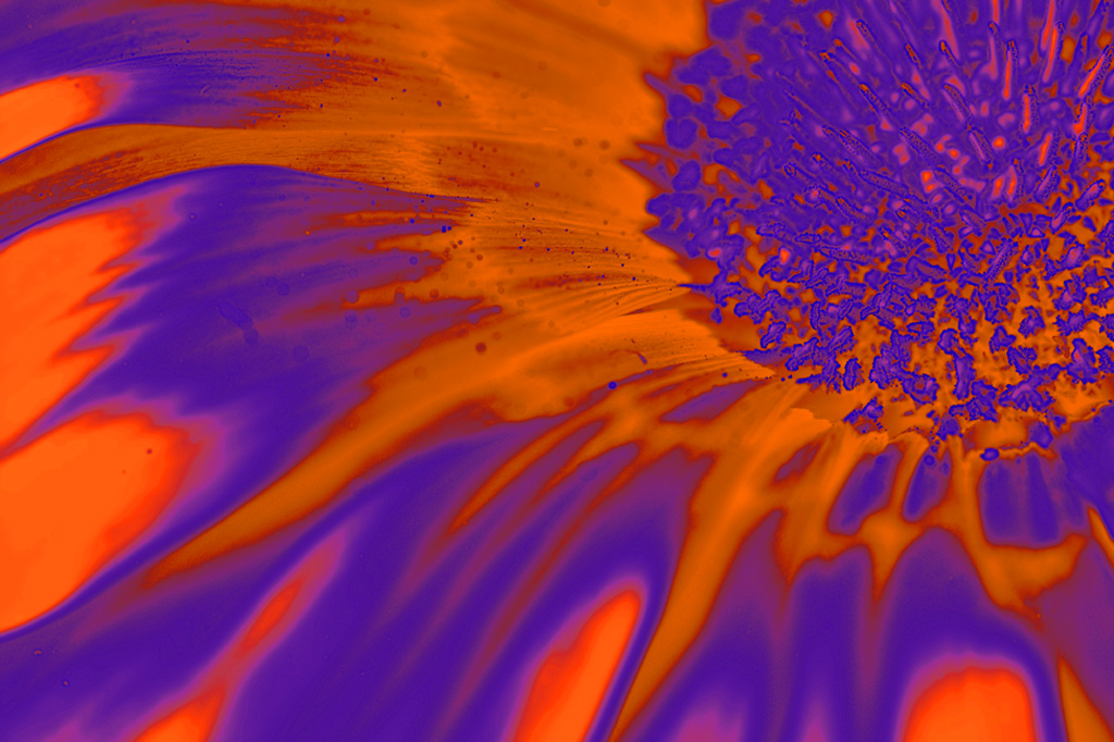 Pintura digital de flores de laranjeira