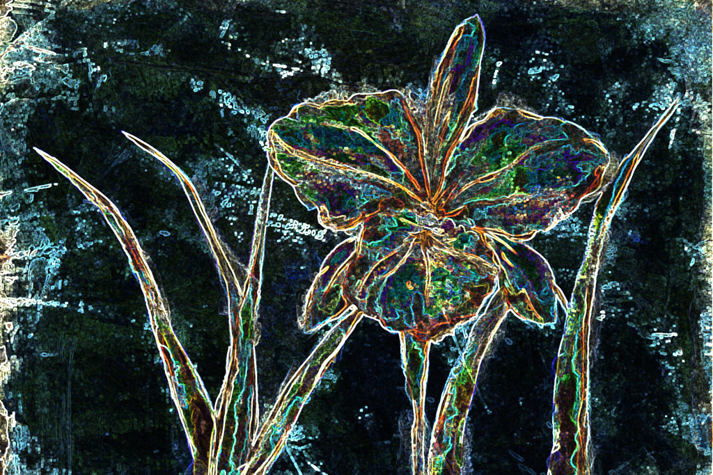 Imagem de flores em preto arte digital