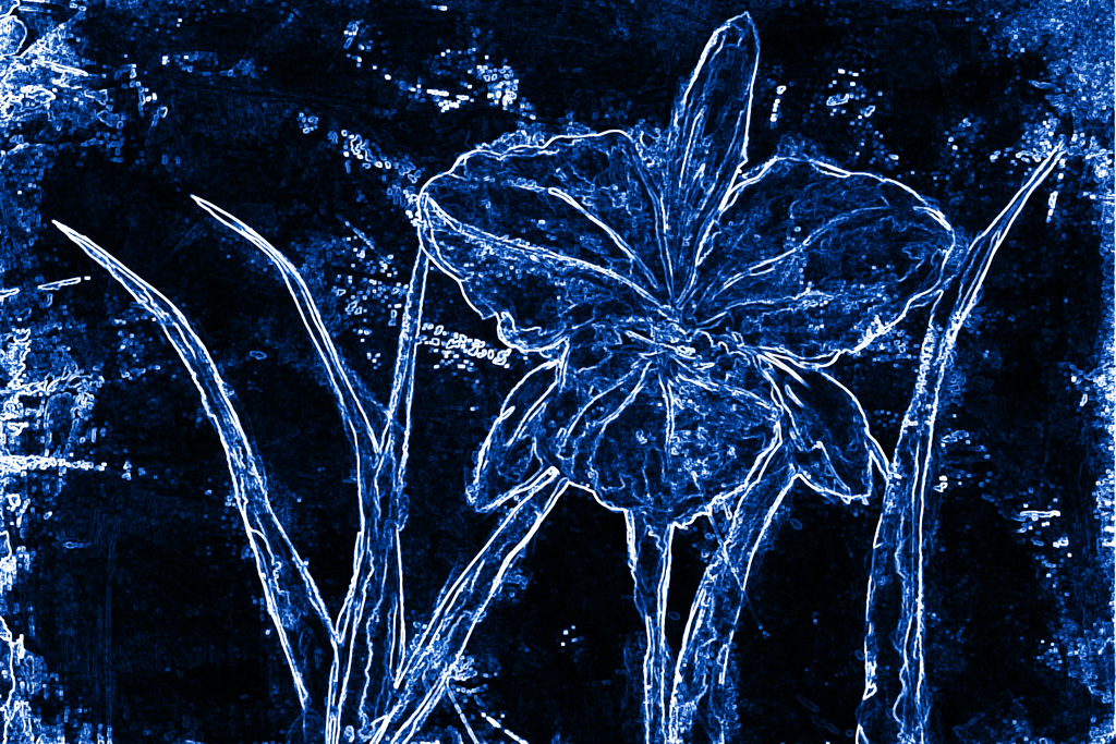 Imagens de arte digital de flores azuis