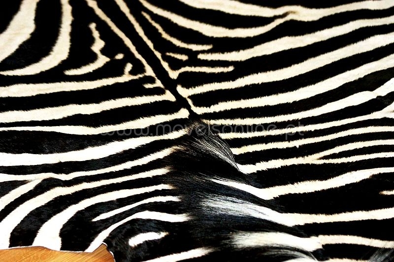 Tapete Pele de Zebra