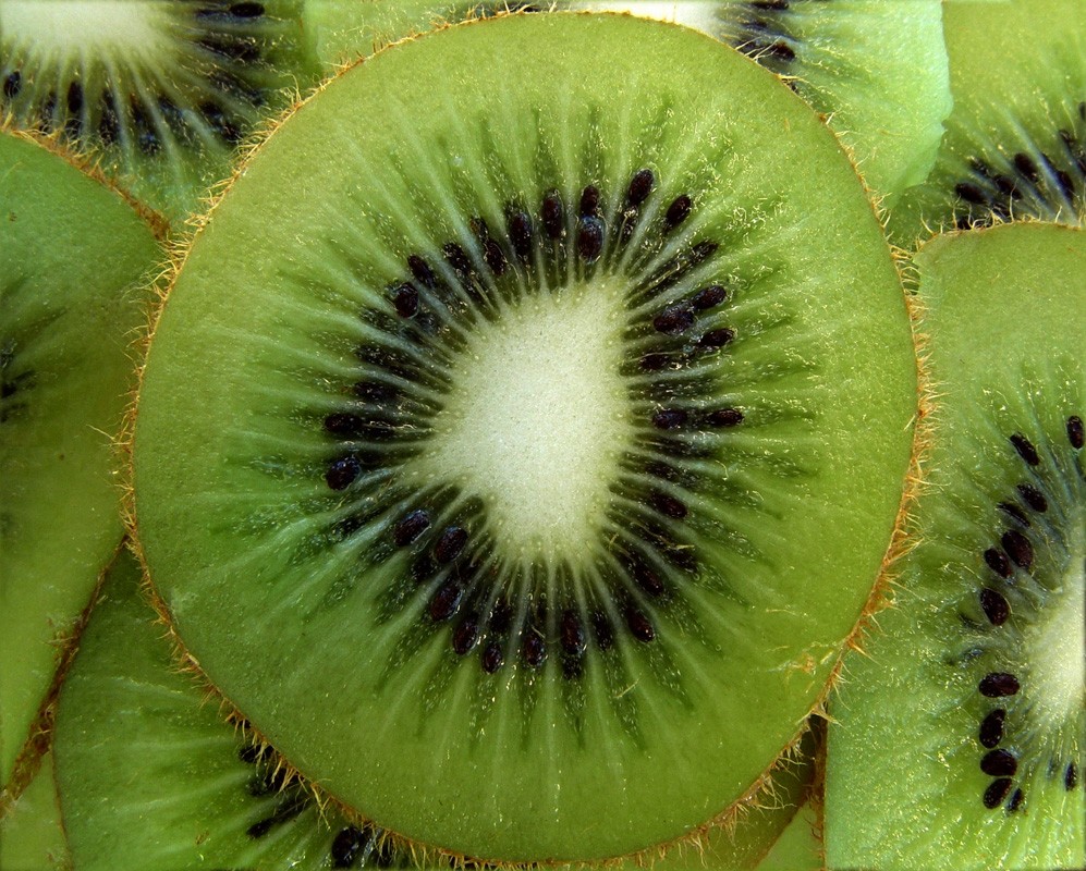Quadro Kiwi