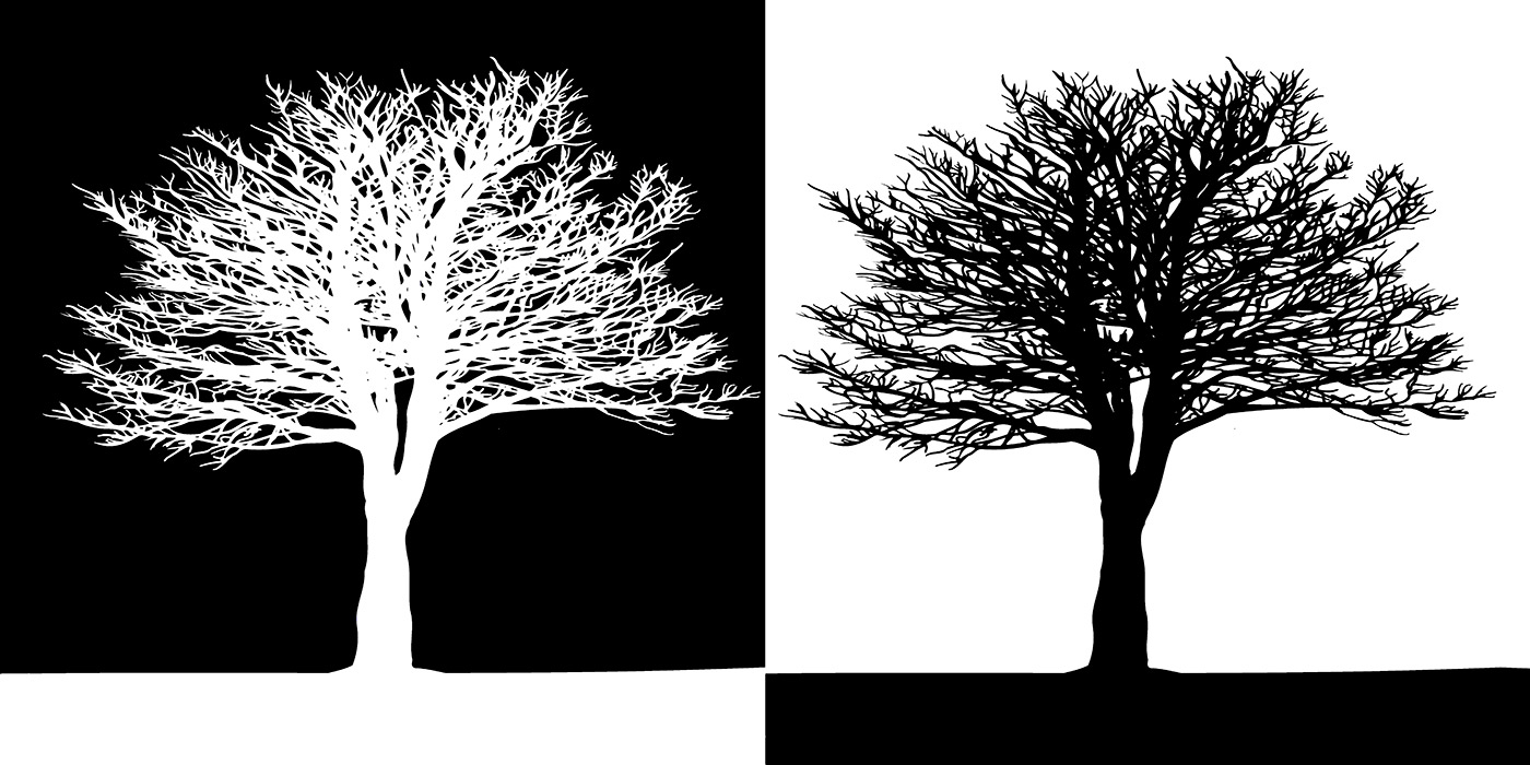 Quadro Black and White Trees
