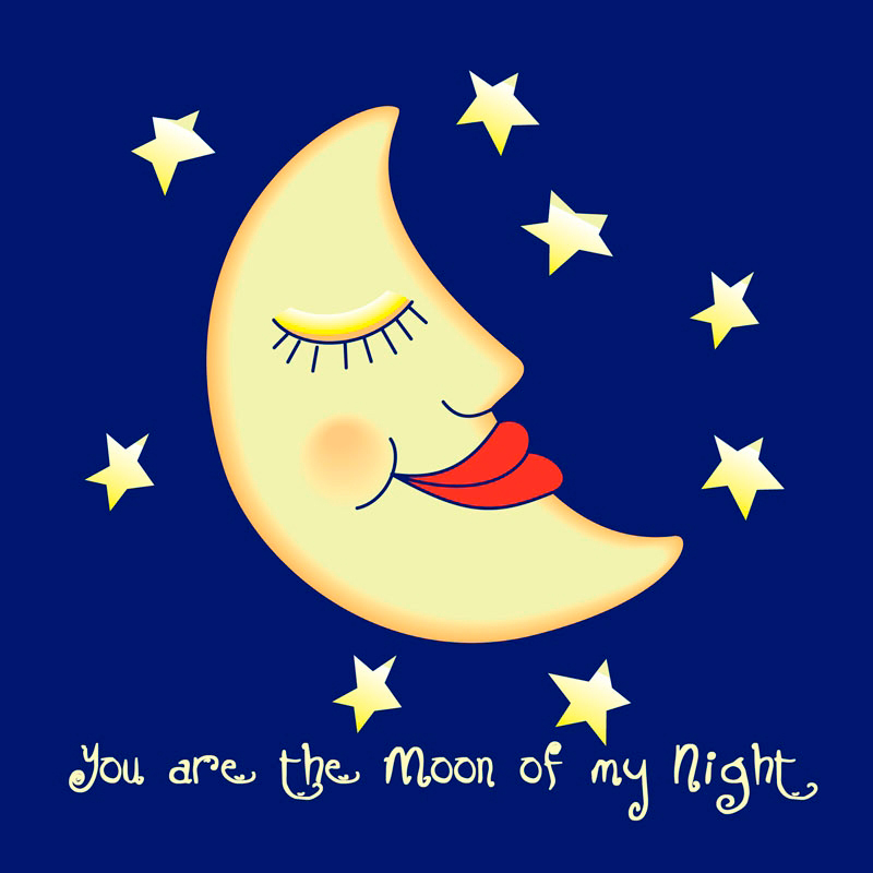 Quadro Você é a Lua da Minha Noite