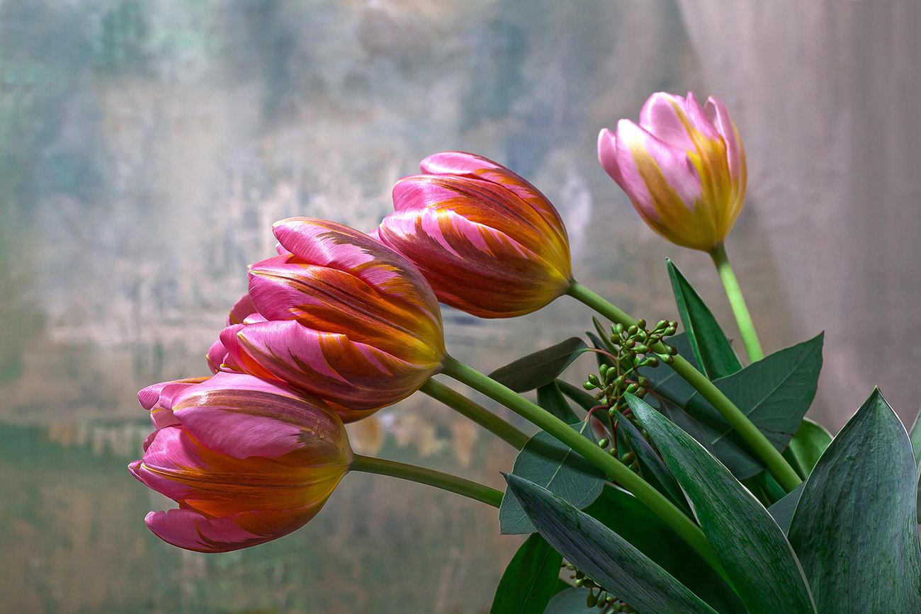 Pintura de tulipas