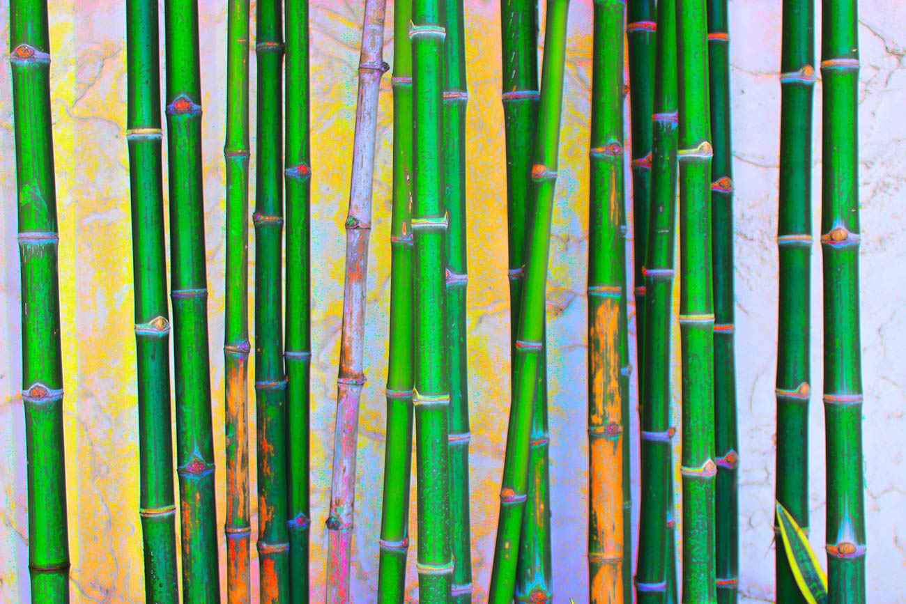 Moldura de bambu
