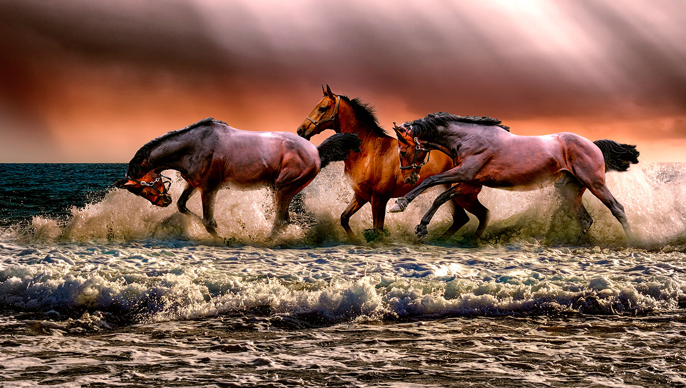 Cavalos na praia pintando