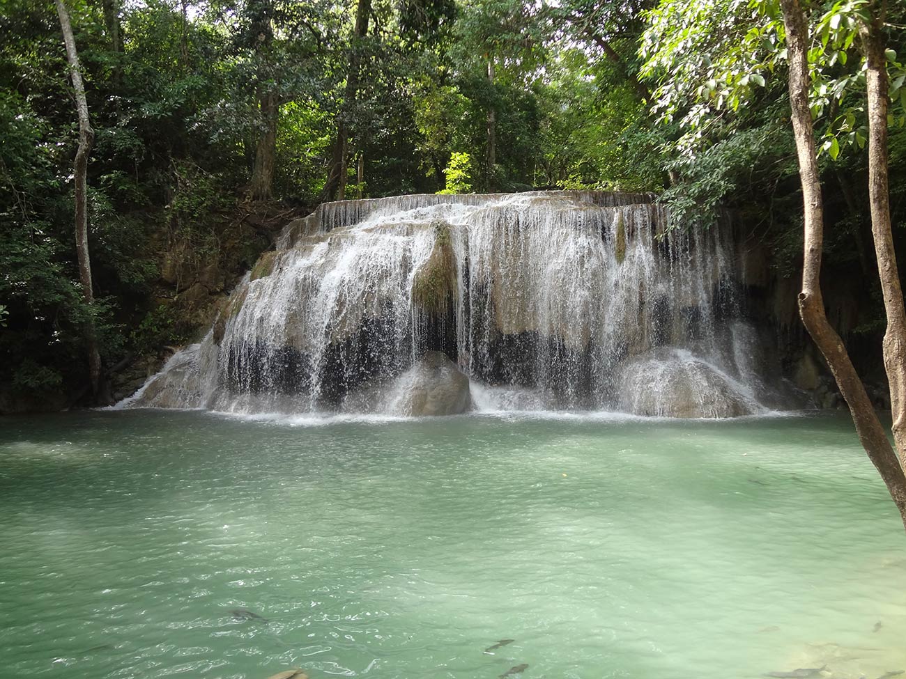 Cachoeira na pintura da floresta