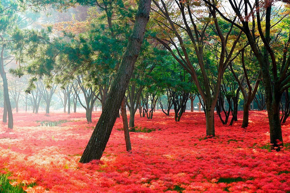 Pintura de paisagem