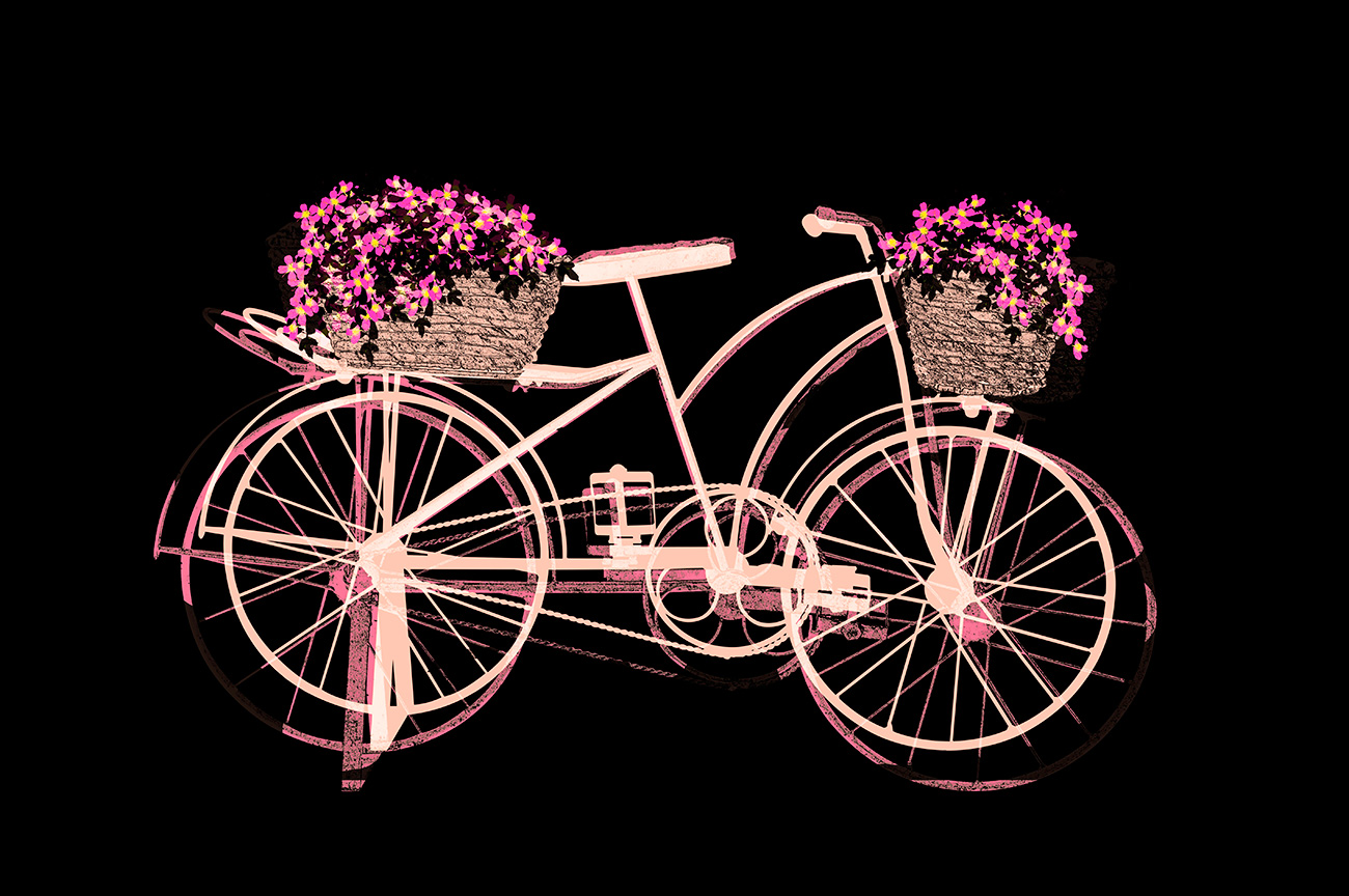 Quadro de bicicleta preto e rosa