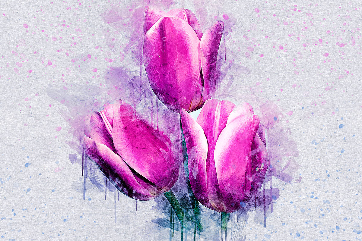Pintura de tulipas fúcsia