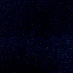 Veludo Azul Escuro (Foto)1150€
