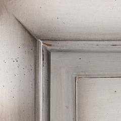 Tulipeira / Cor U6 Branco 