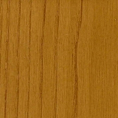 Castanho / Cor Castanho 