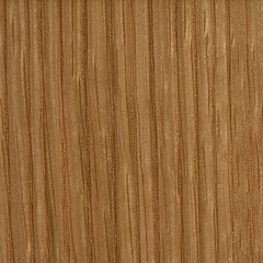 Carvalho / Cor Natural