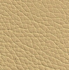 Pele Natural Bege1950€
