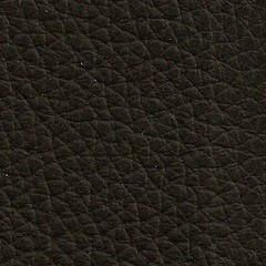 Pele Natural Preta1950€