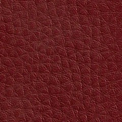 Pele Sintética / Castanho J07 525&euro;