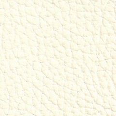 Pele Natural / Branco N10 765&euro;