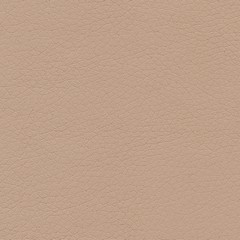 Pele Sintéctica / Bege