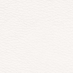 Pele Sintéctica / Branco