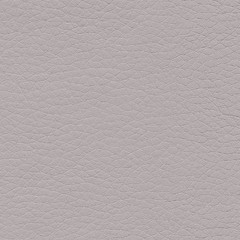 Pele Sintéctica / Cinza