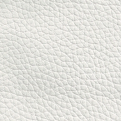 Tecido Branco