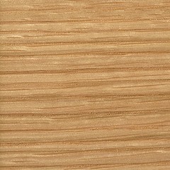 Carvalho / Cor Natural