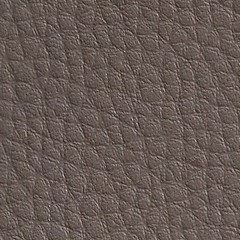 Pele Sintética / Cinza J06 395&euro;