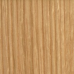 Carvalho / Cor Natural