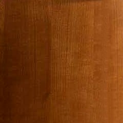 Castanho / Cor Castanho