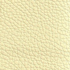 Pele Sintética/ Smart Bege (Foto)