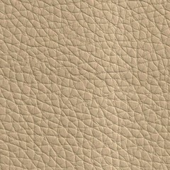 Pele Sintética/ Smart Camel