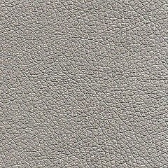 Pele Sintética/ Uruguai Prata