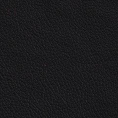 Pele Natural Preta2130€