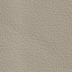 Pele Natural Cinza2130€