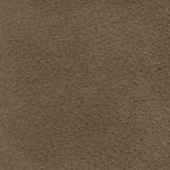 Tecido Microfibra Taupe1109€