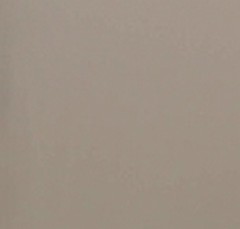 Pele Natural Taupe (igual à foto) 2359&euro;