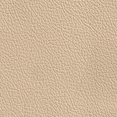 Pele Natural Bege 2119&euro;