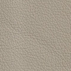 Pele Natural Cinza 2990&euro;