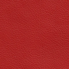 Pele Natural Vermelha (Foto)4300€