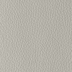 Pele Natural Cinza Claro2175€