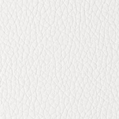 Sintético Branco (Foto)