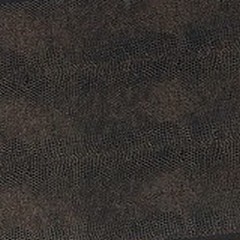 Tela Castanha (Foto)220€
