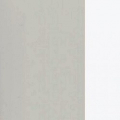 Carvalho Cinza + Branco Brilho320€