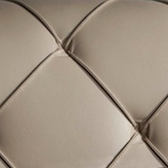 Pele Regenerada Bege (foto)