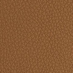 Sintético Camel