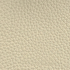 Sintético Bege | Omega Ivory (Foto)