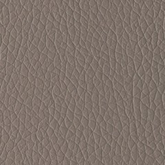 Sintético Taupe