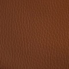 Sintético Castanho | D 21